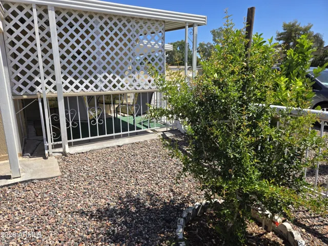 Front porch, pomegranate tree