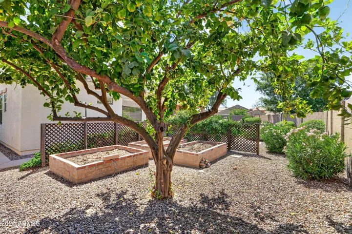 Raised garden beds.
