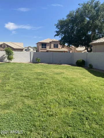 green grass backyard