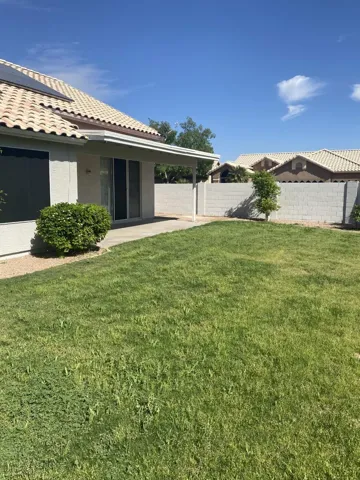 green grass backyard