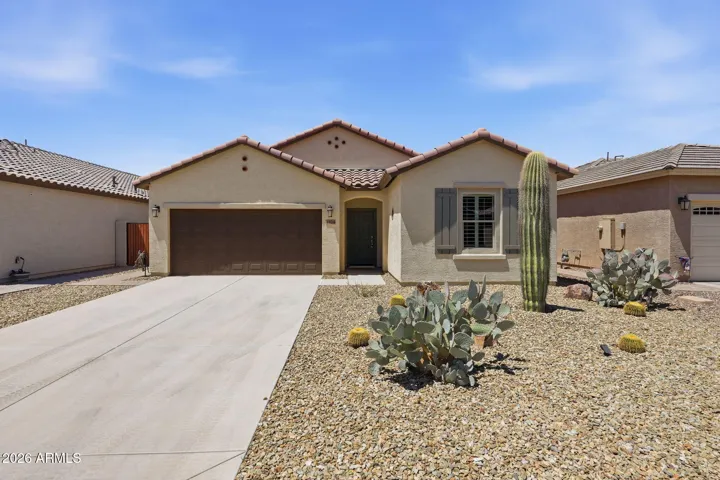 Native Arizona Landscaping