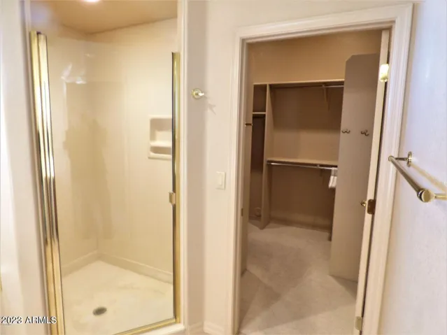 Master shower view