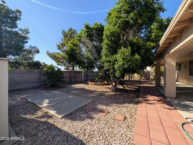 Back Yard