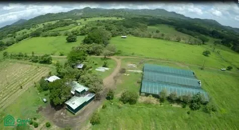 Commercial Sale For Sale
