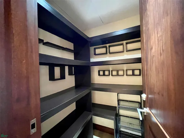 Walk-in pantry with electrical outlet.