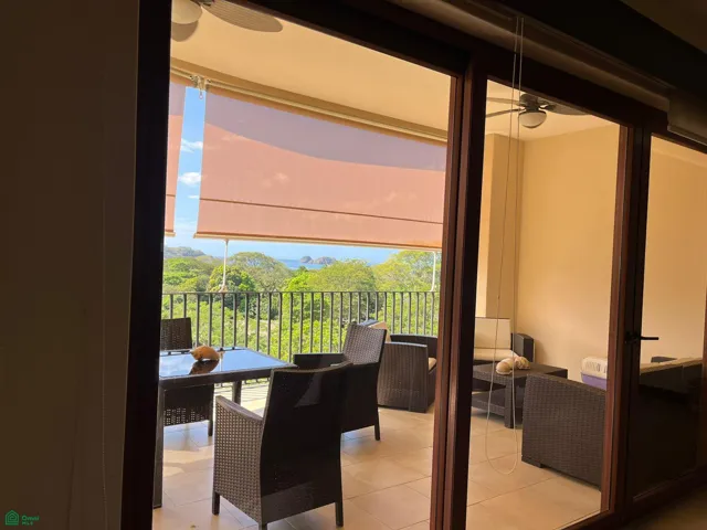 View from the living area.