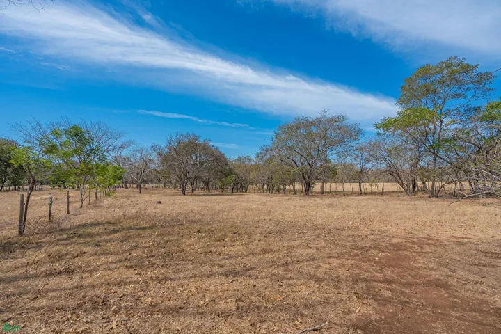 Lot 2 from the ground