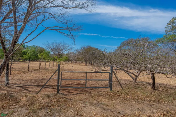 Entry Gate for Lot 2