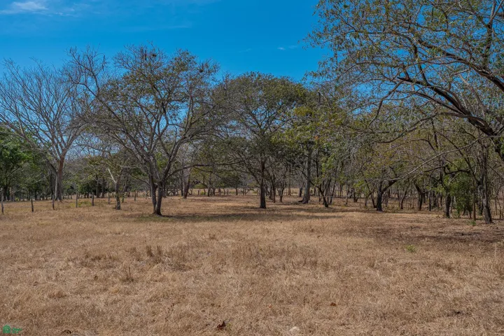 Lot 2 from the ground