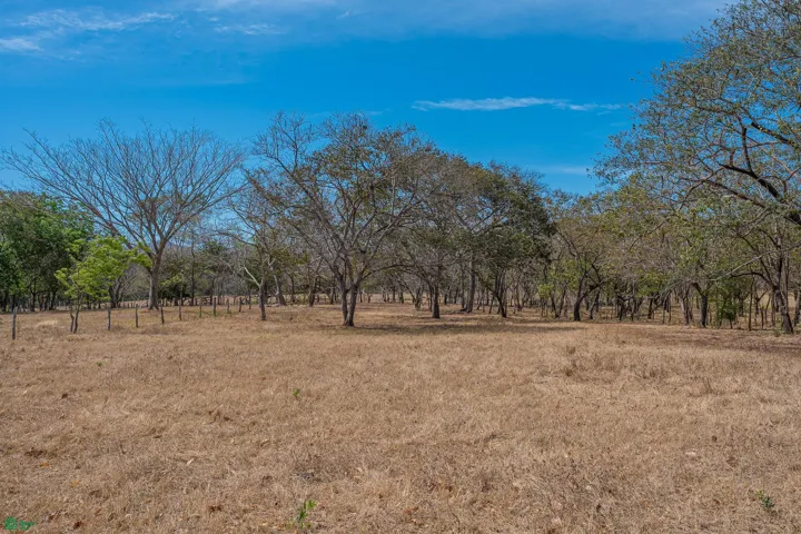 Lot 2 from the ground