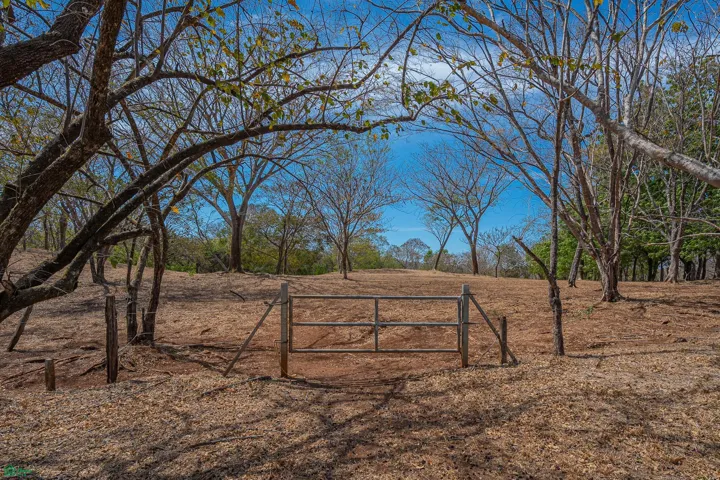 Entry gate to lot 1 from estate road