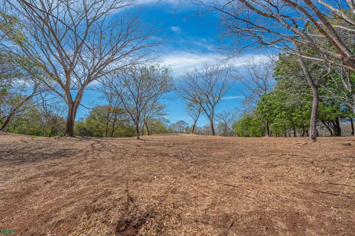 Lot 1 ground level shot