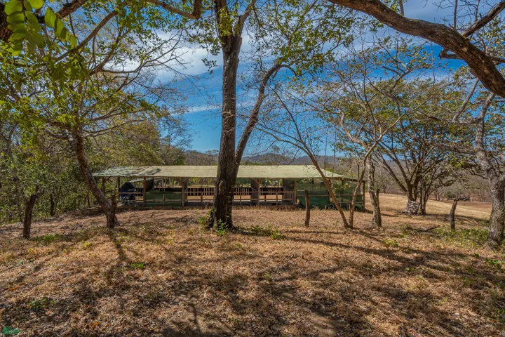 Lot 12 entry