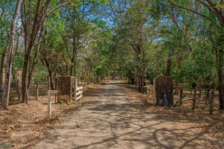 Cerro Grande main entry