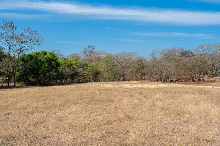 Lot 12 toward bottom