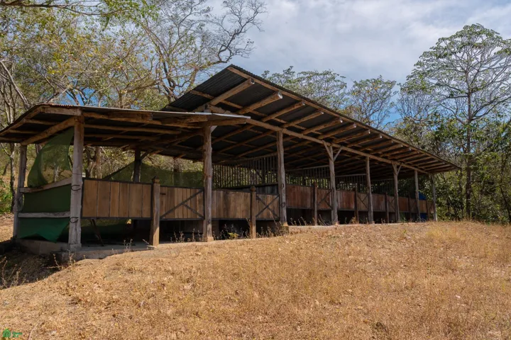 Lot 12 with Barn