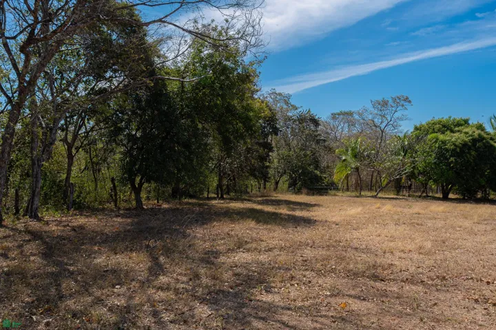 Lot 12 Ground shot