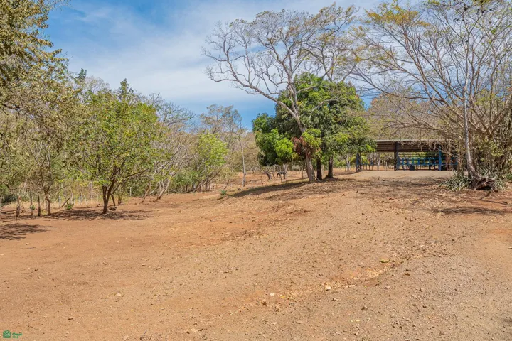 Lot 13 from ground