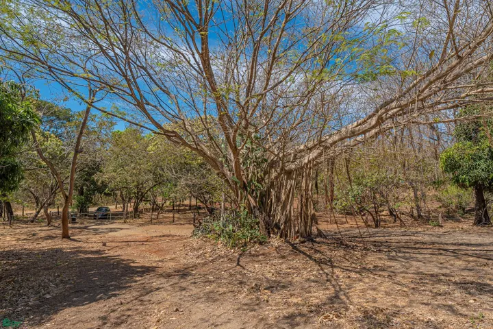 Lot 13 additional ground