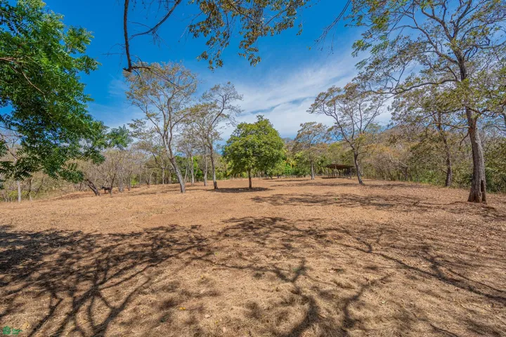 Lot 13 ground shot