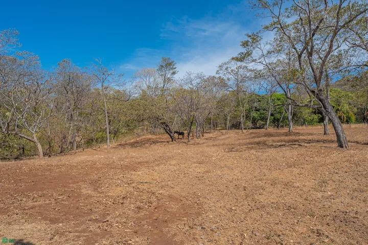 Lot 13 More ground