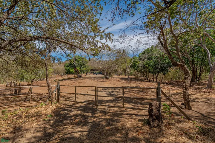 Lot 13 entry gate