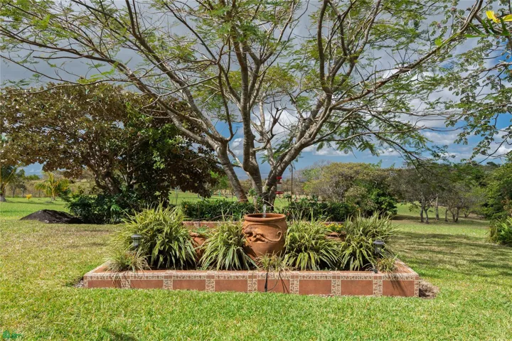 Un hermoso árbol en el centro de la propiedad donde la presencia de pájaros y tucanes llegan todos los días.