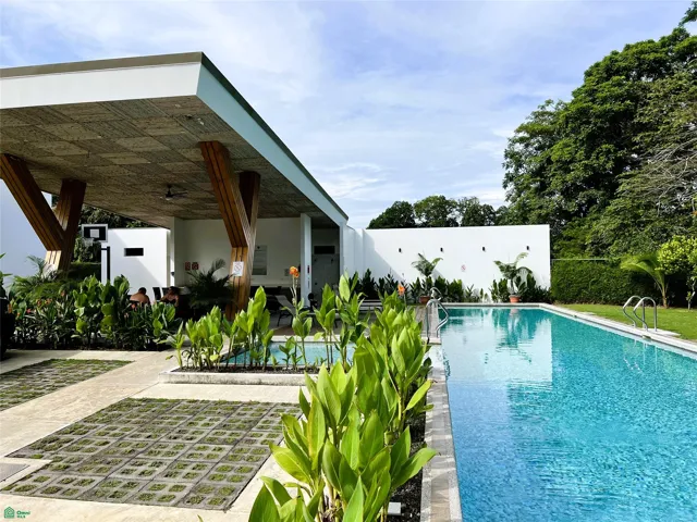 Pool & Amenities