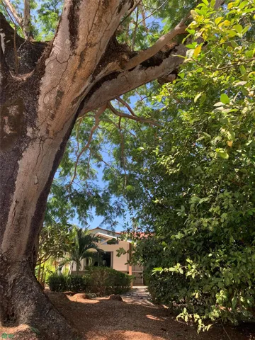 Lush trees provide shade