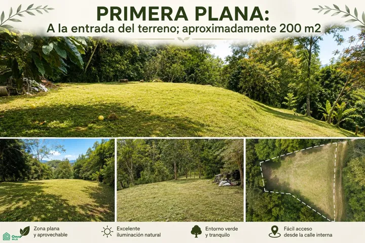 Primera Plana