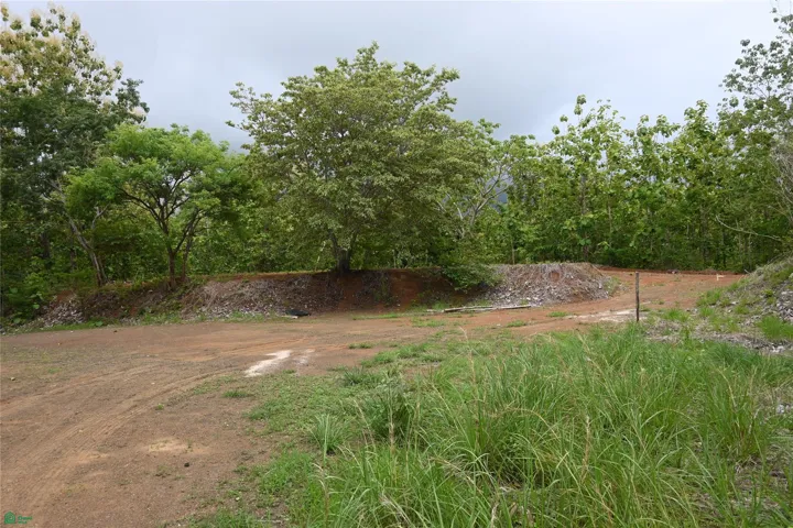 Lot 96