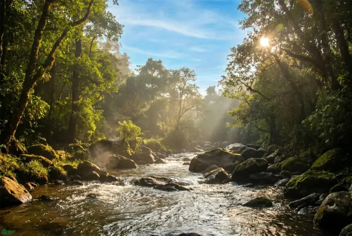Water in the property river