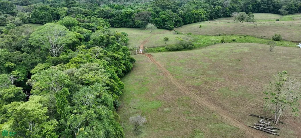 A su alrededor pasa el río llamado Saino donde hay gran flora y fauna.