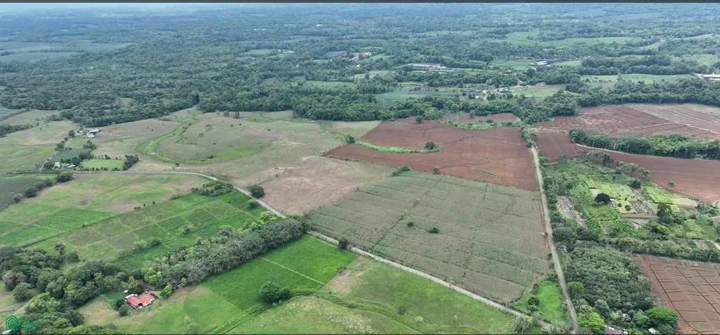 Vive el encanto del campo costarricense en una finca con paisajes verdes y condiciones ideales para proyectos agrícolas.