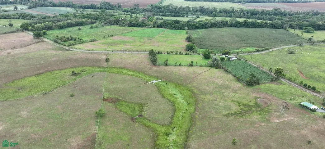 Rodeada de abundante vegetación, esta finca disfruta de un entorno verde durante todo el año.