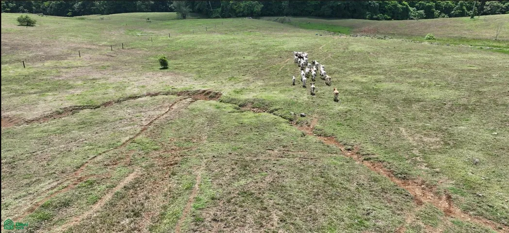 Un lugar donde la naturaleza, la producción y la calidad de vida se unen en una de las regiones más fértiles de Costa Rica.