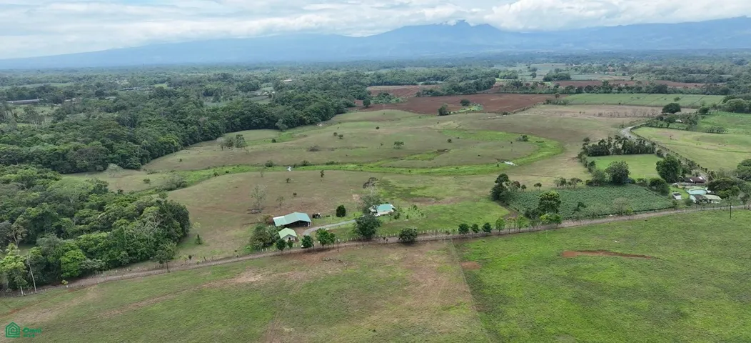 Los suelos de San Carlos ofrecen excelentes condiciones para sembrar y producir con alta calidad.