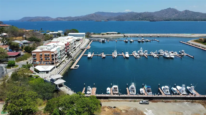Flamingo Marina
