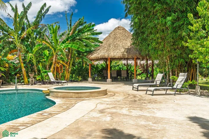 Additional pool view with tropical surroundings and a shaded community rancho.
