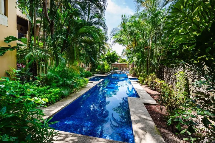 Amazing lap pool set in the lushly landscaped courtyard