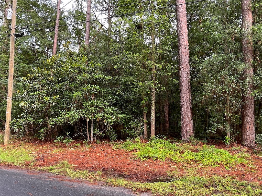 Eleanor Avenue, Ridgeland, SC 29936, 436614 - Photo 1