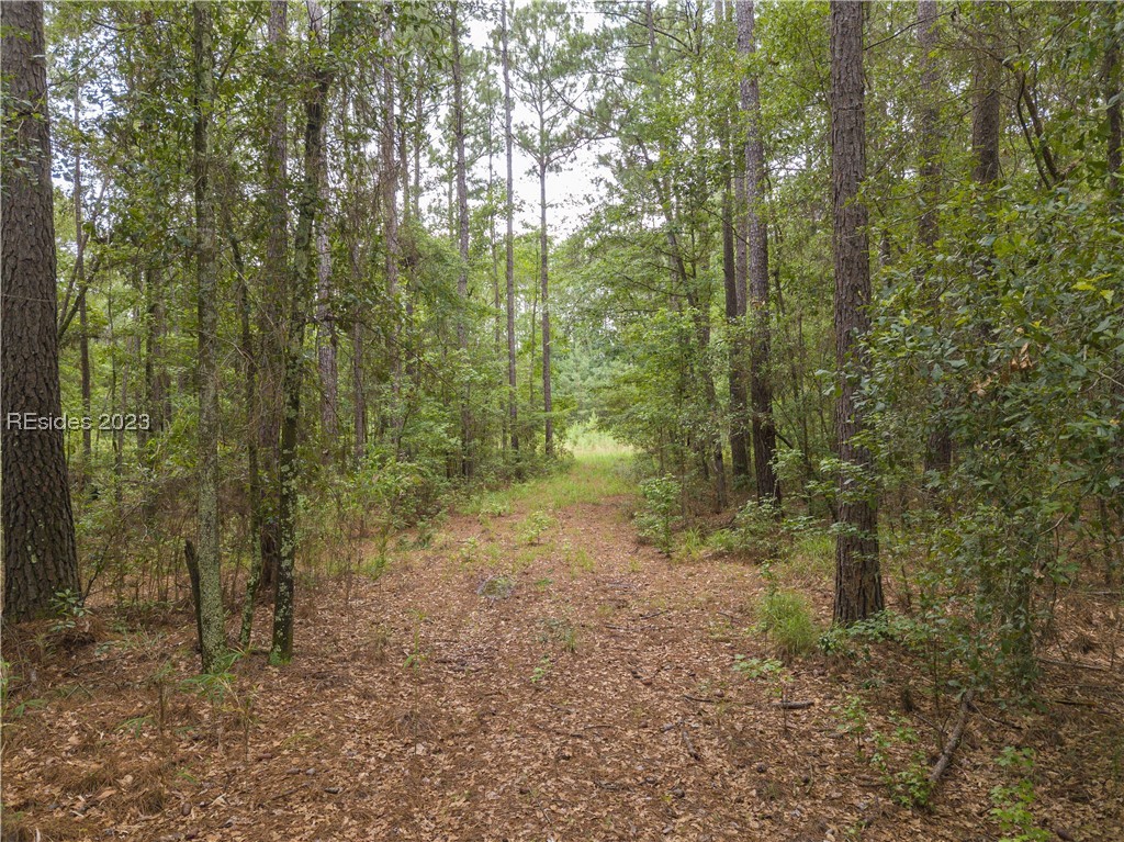 Church Road, Hardeeville, SC 29927, 436788 - Photo 1
