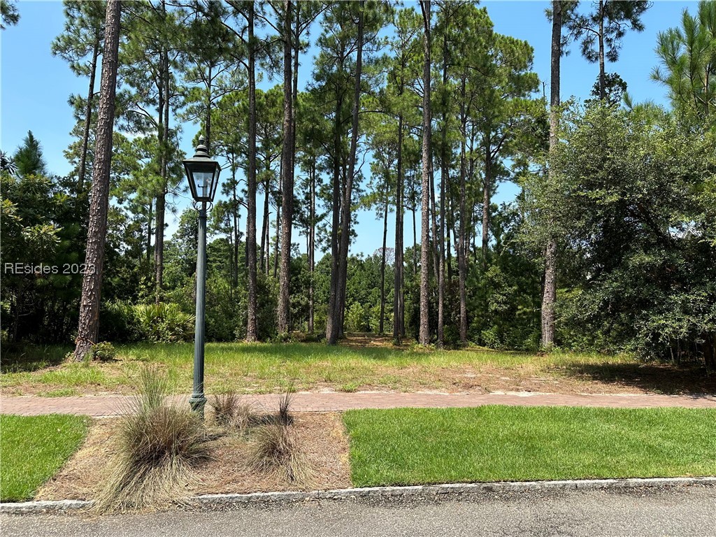 14 Game Land Road, Bluffton, SC 29910, 437867 - Photo 1