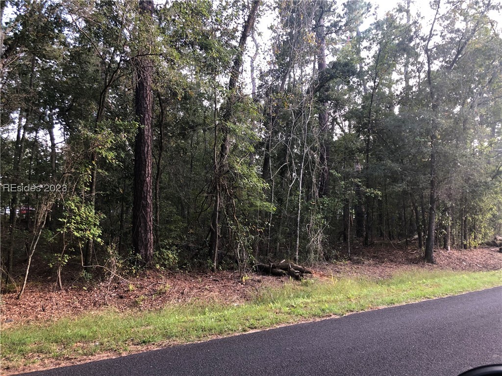 Stellars Jay Road, Ridgeland, SC 29936, 439635 - Photo 1