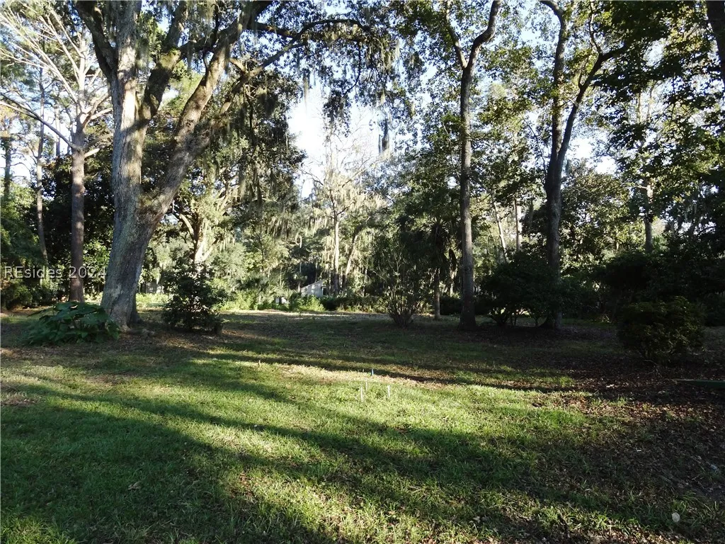  - Photo 1