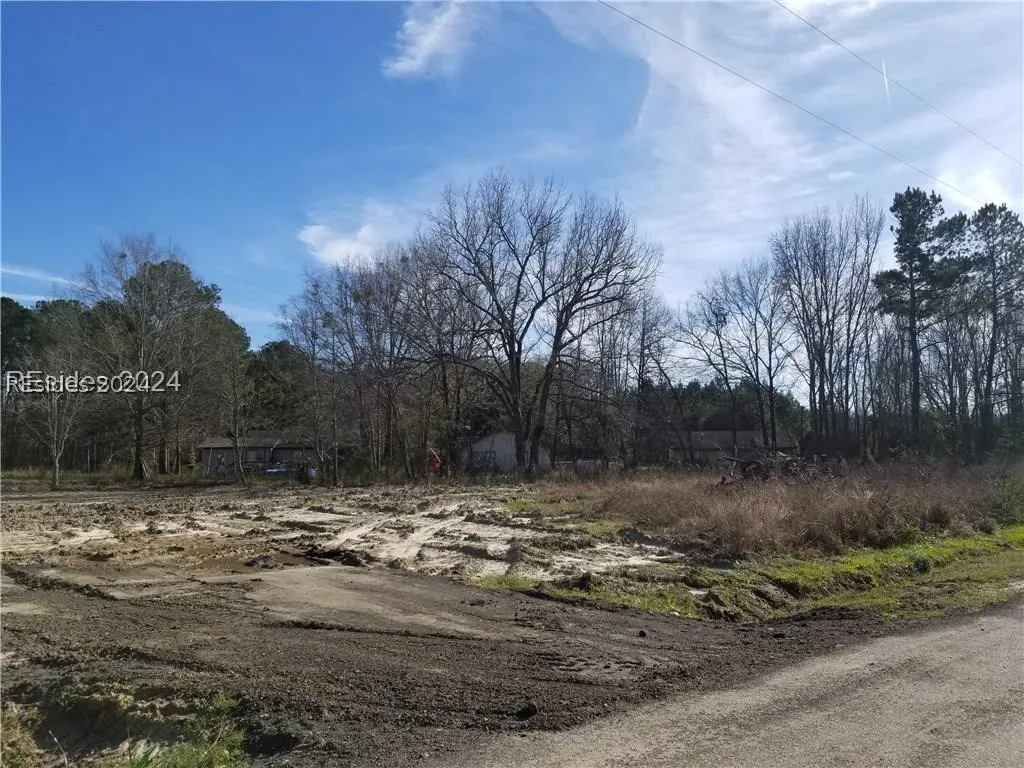 650 Foskey Road, Hardeeville, SC 29927, 446176 - Photo 1