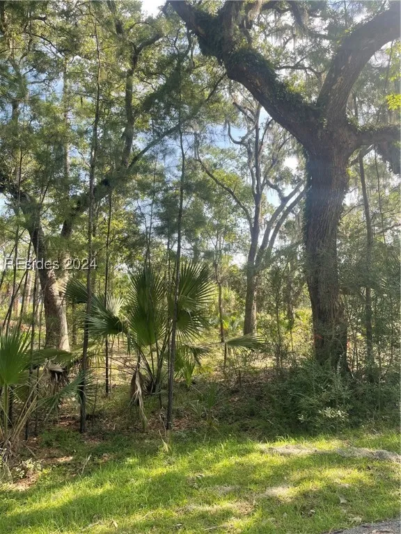 12 Woodstork Landing, Okatie, SC 29909, 446600 - Photo 2