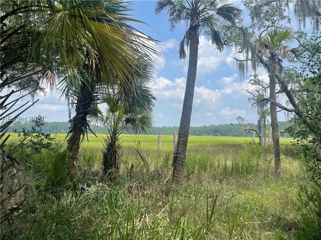 12 Woodstork Landing, Okatie, SC 29909, 446600 - Photo 1