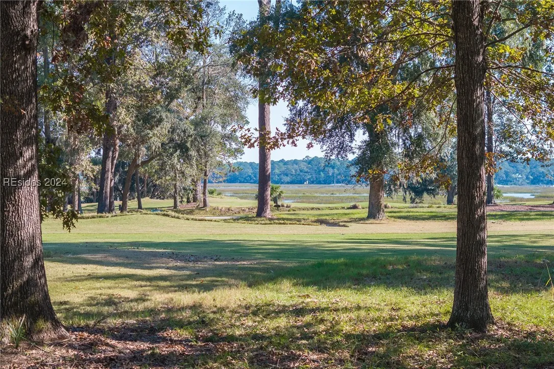 2 Cassique Lane, Okatie, SC 29909, 448964 - Photo 1