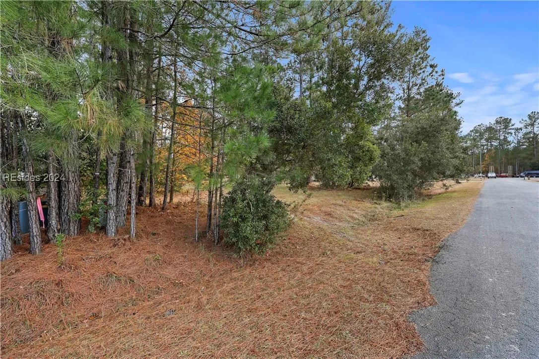 201 Graham Hall, Ridgeland, SC 29936, 449322 - Photo 2